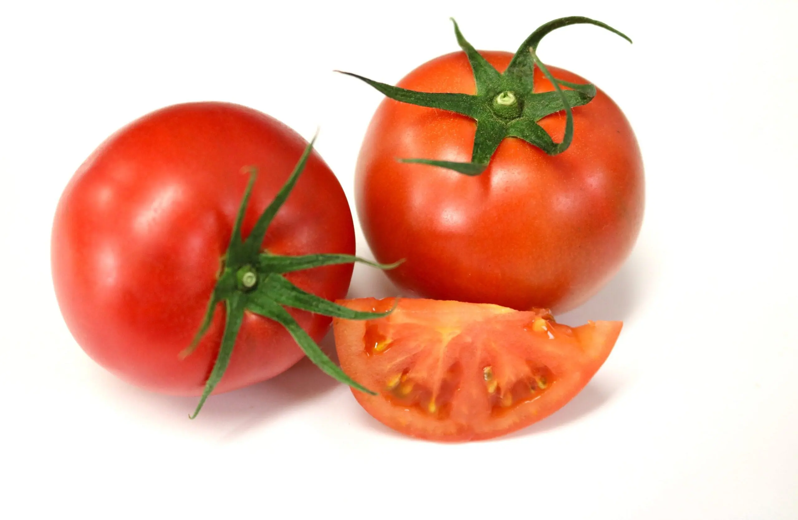A TOMATO のトマト